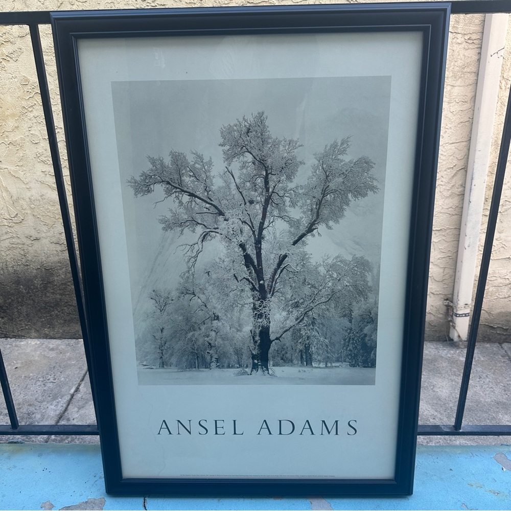 Ansel Adams Oak Tree Snowstorm Yosemite Valley 1984 Framed Print 30x27